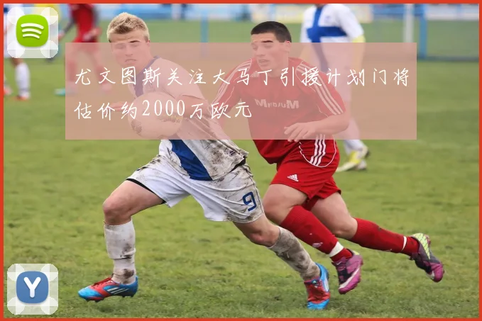 尤文图斯关注大马丁引援计划门将估价约2000万欧元
